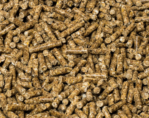 BIO Leinsamen-Pellets Futter Leckerli 3 x 10 kg / 2 + 1 GRATIS