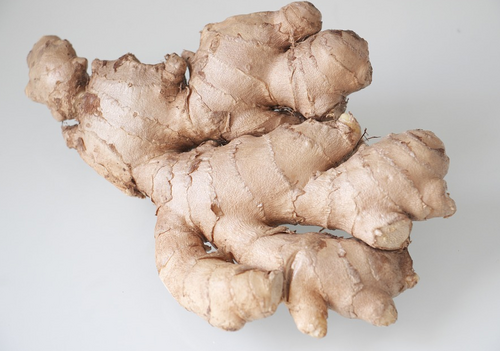 Bio Ingwer gemahlen 50g, tagesfrisch