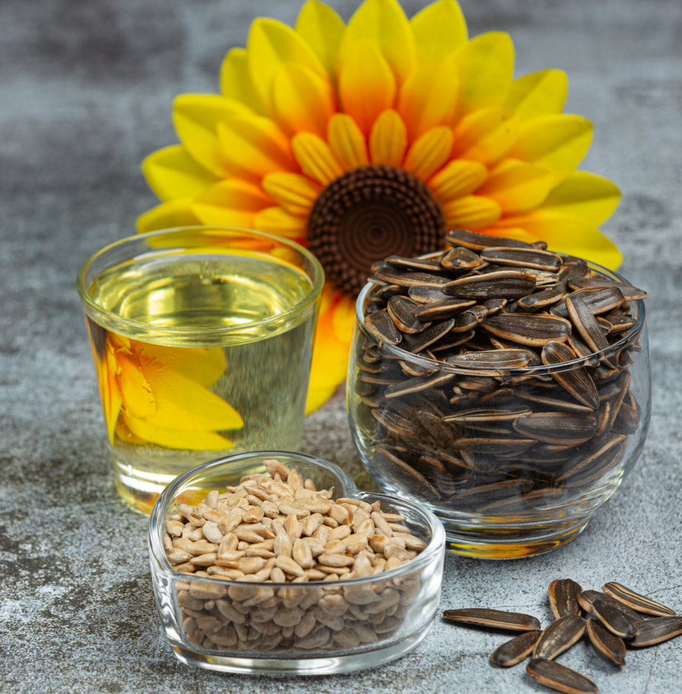Bio-Sonnenblumenöl 500ml, nicht geröstet, ungefiltert