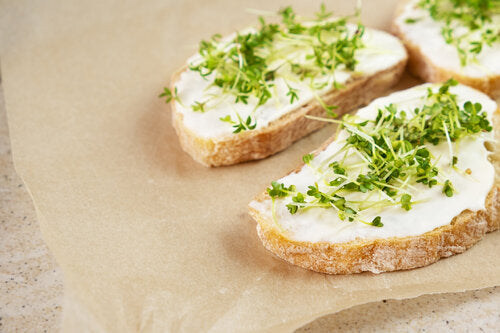 Brokkoli Brokkoletti Sprossen Keimsaat 300g