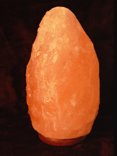Geschirmter Lampensockel, Leuchtsockel, Fichte Salzlampe