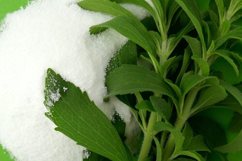 STEVIA Steviosid Pulver 50g / Süßungsmittel
