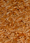 Bio Kamut Urweizen ganze Körner 1000 g, Khorasan-Weizen