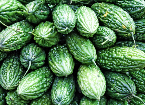 GOYAVIT Bittermelone Kapseln 240 Stück + Curcuma / Traubenkernmehl / Yams