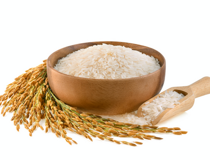 BIO Jasmin Reis 500g, Duftreis, Langkornreis, naturbelassen