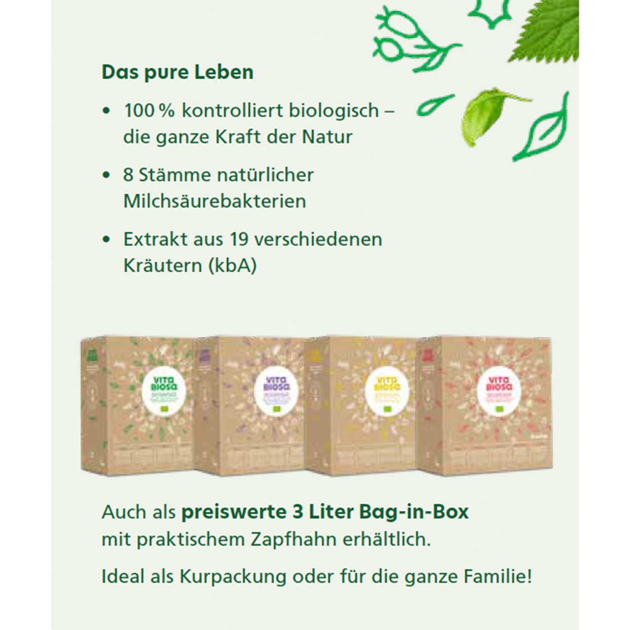 VITA BIOSA Kräuter 3000 ml BOX Original Kräuter Fermentgetränk